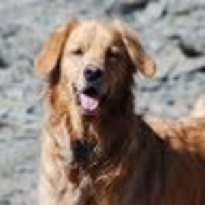 Meet your Posher, Debra